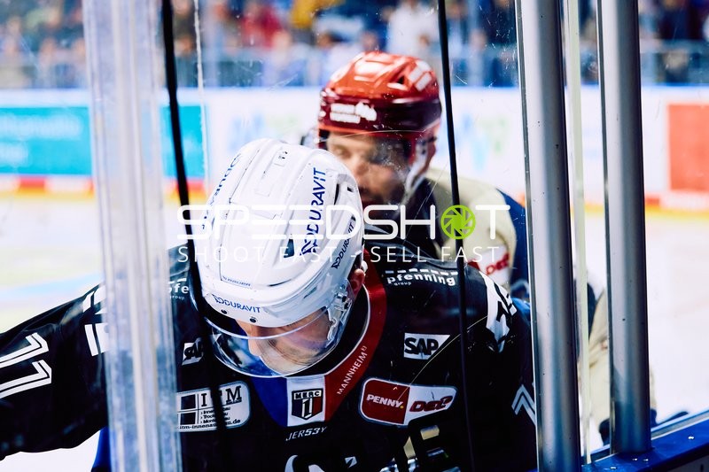 Adler Mannheim vs Schwenninger Wild Wings | 19.01.2024