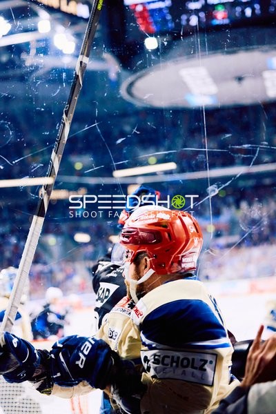 Adler Mannheim vs Schwenninger Wild Wings | 19.01.2024