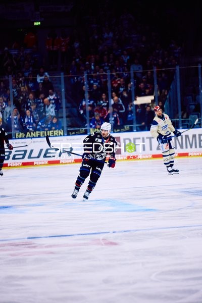 Adler Mannheim vs Schwenninger Wild Wings | 19.01.2024