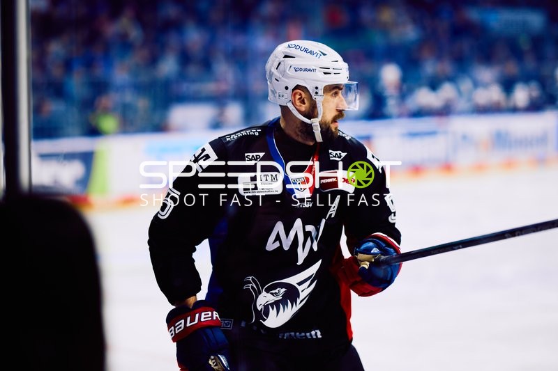 Adler Mannheim vs Schwenninger Wild Wings | 19.01.2024