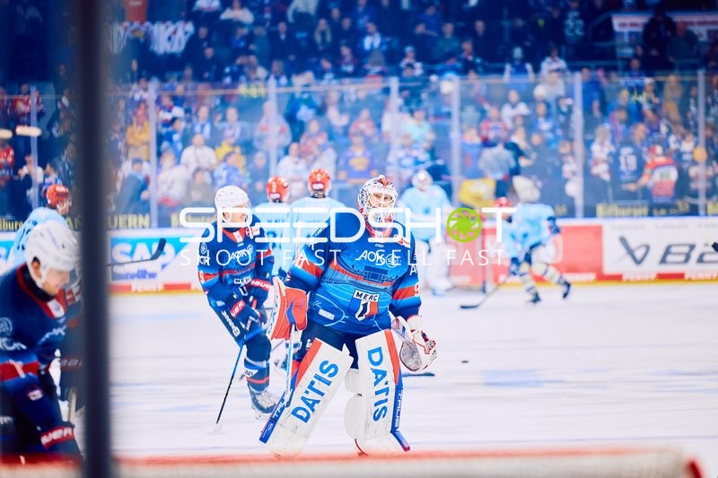 Adler Mannheim vs Schwenninger Wild Wings | 19.01.2024