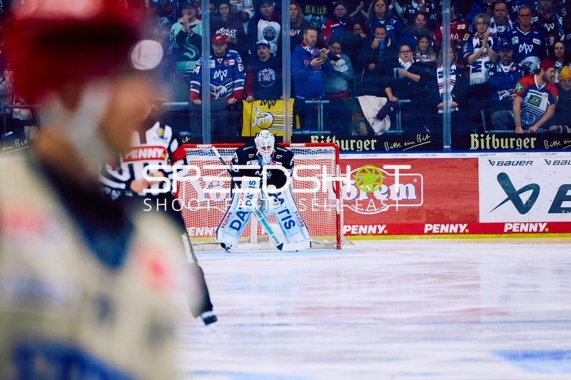 Adler Mannheim vs Schwenninger Wild Wings | 19.01.2024