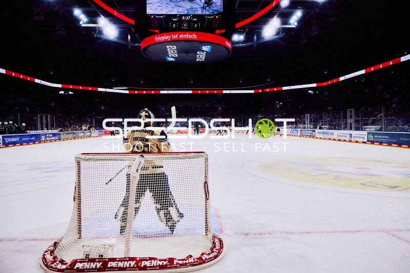 Adler Mannheim vs Schwenninger Wild Wings | 19.01.2024