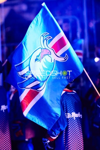 Adler Mannheim vs Schwenninger Wild Wings | 19.01.2024