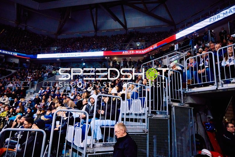 Adler Mannheim vs Schwenninger Wild Wings | 19.01.2024