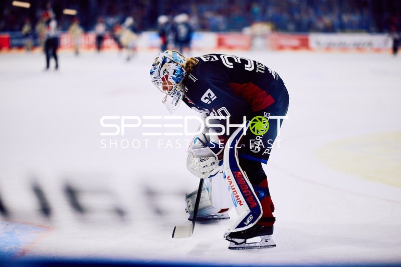 Adler Mannheim vs Schwenninger Wild Wings | 19.01.2024