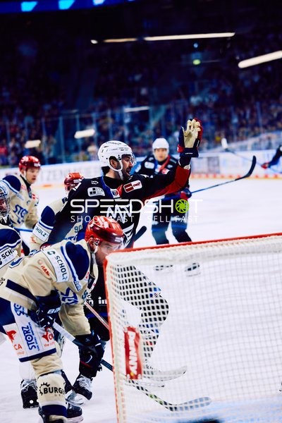 Adler Mannheim vs Schwenninger Wild Wings | 19.01.2024
