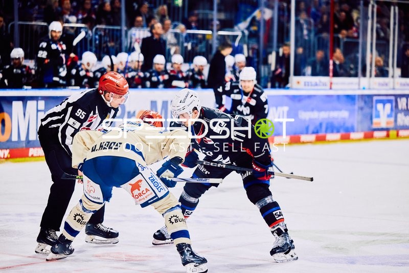 Adler Mannheim vs Schwenninger Wild Wings | 19.01.2024