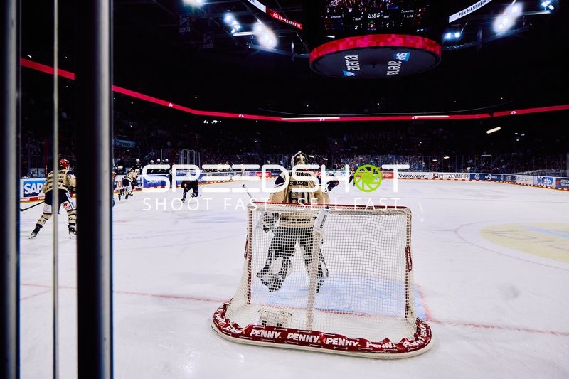 Adler Mannheim vs Schwenninger Wild Wings | 19.01.2024