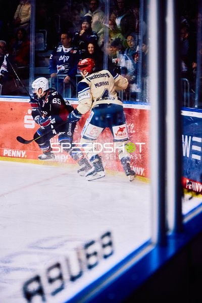 Adler Mannheim vs Schwenninger Wild Wings | 19.01.2024