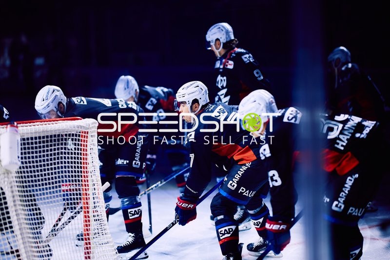 Adler Mannheim vs Schwenninger Wild Wings | 19.01.2024