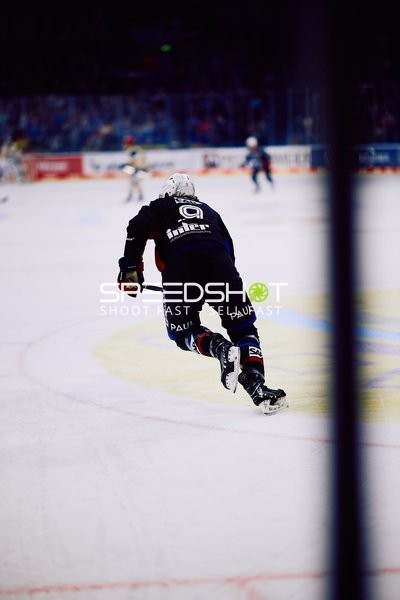 Adler Mannheim vs Schwenninger Wild Wings | 19.01.2024