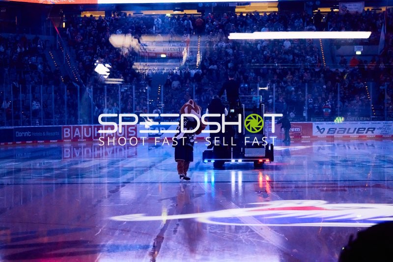 Adler Mannheim vs Schwenninger Wild Wings | 19.01.2024