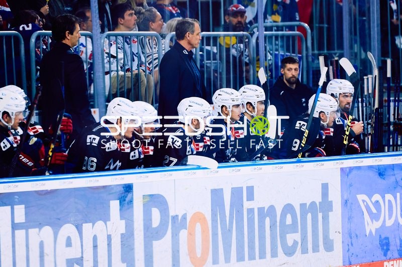 Adler Mannheim vs Schwenninger Wild Wings | 19.01.2024