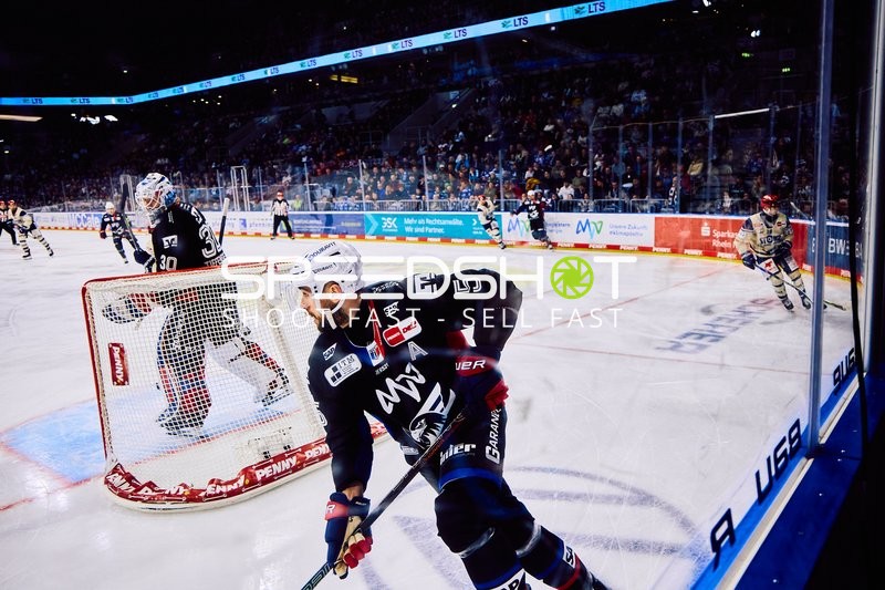 Adler Mannheim vs Schwenninger Wild Wings | 19.01.2024