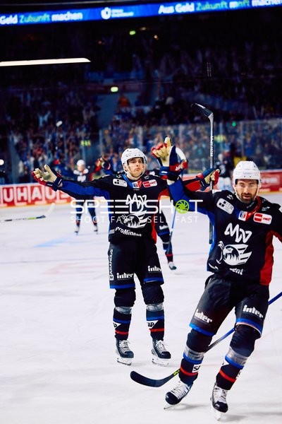 Adler Mannheim vs Schwenninger Wild Wings | 19.01.2024