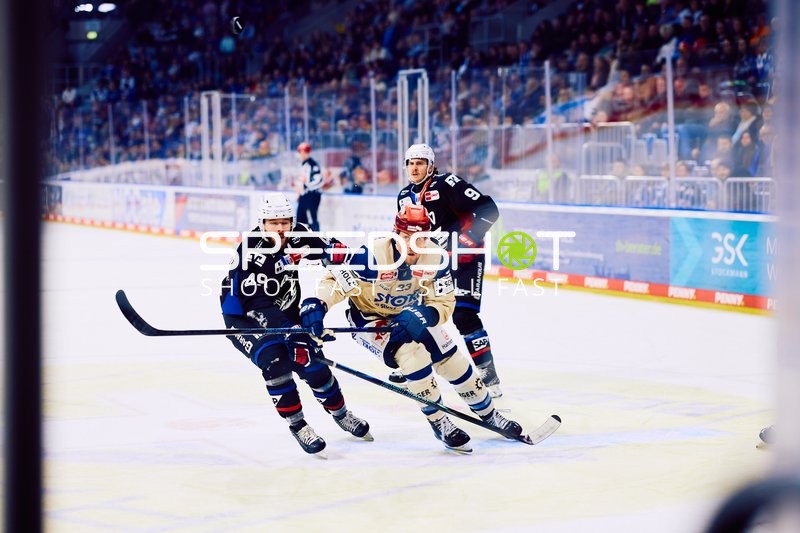 Adler Mannheim vs Schwenninger Wild Wings | 19.01.2024