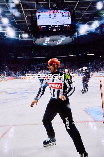 Adler Mannheim vs Schwenninger Wild Wings | 19.01.2024