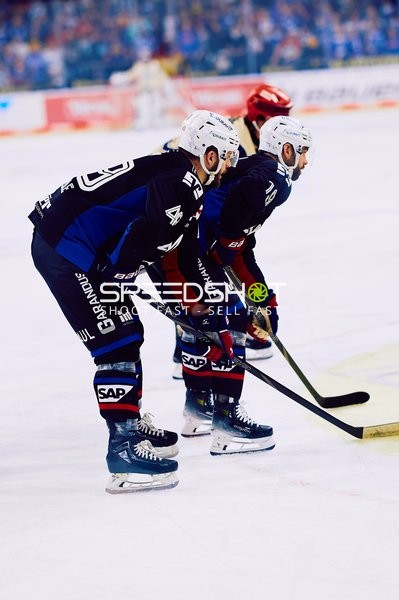 Adler Mannheim vs Schwenninger Wild Wings | 19.01.2024