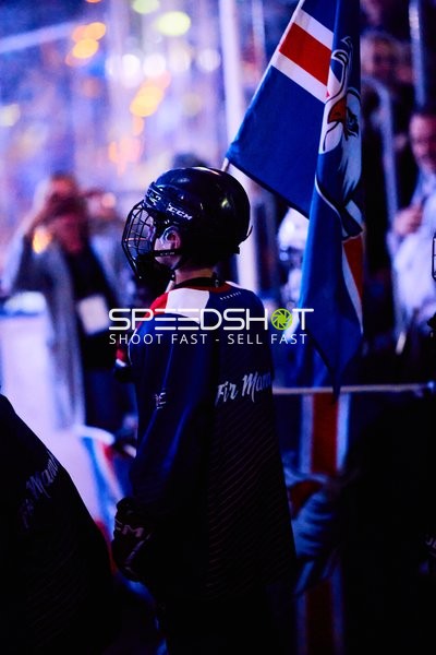 Adler Mannheim vs Schwenninger Wild Wings | 19.01.2024