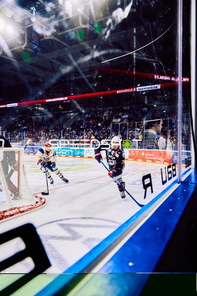 Adler Mannheim vs Schwenninger Wild Wings | 19.01.2024