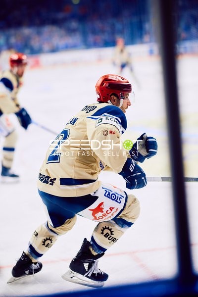 Adler Mannheim vs Schwenninger Wild Wings | 19.01.2024