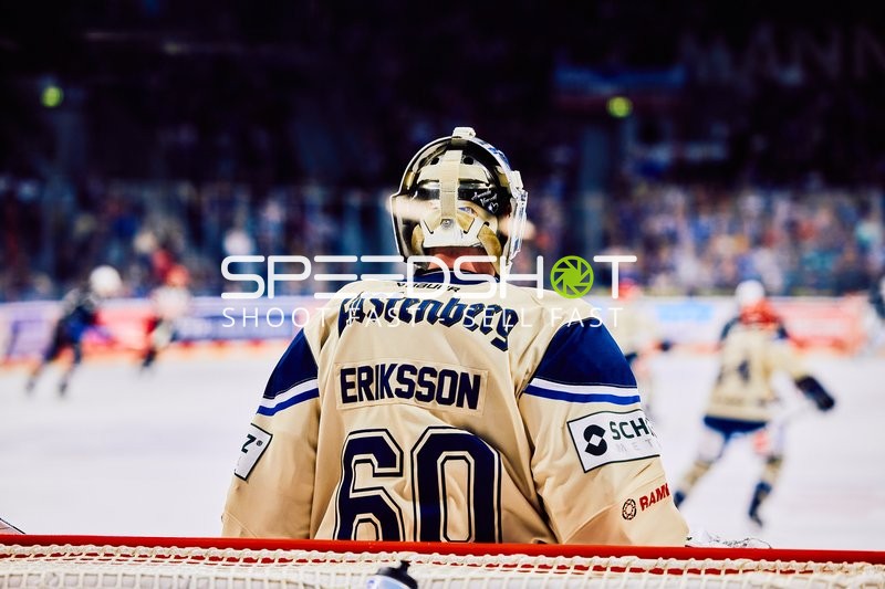 Adler Mannheim vs Schwenninger Wild Wings | 19.01.2024