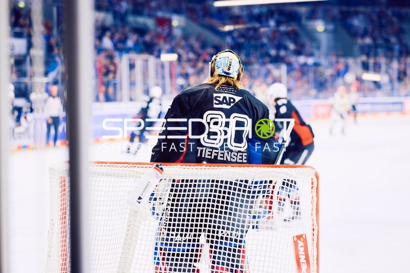 Adler Mannheim vs Schwenninger Wild Wings | 19.01.2024