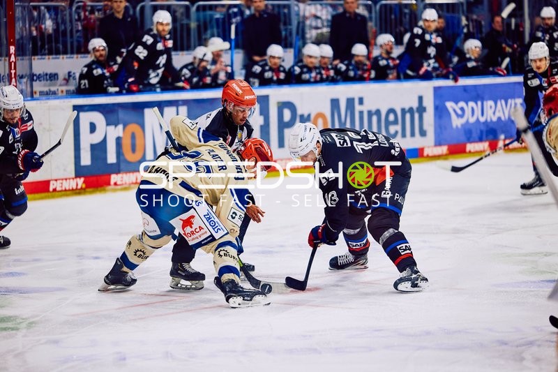 Adler Mannheim vs Schwenninger Wild Wings | 19.01.2024