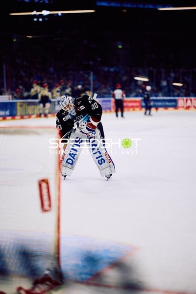 Adler Mannheim vs Schwenninger Wild Wings | 19.01.2024