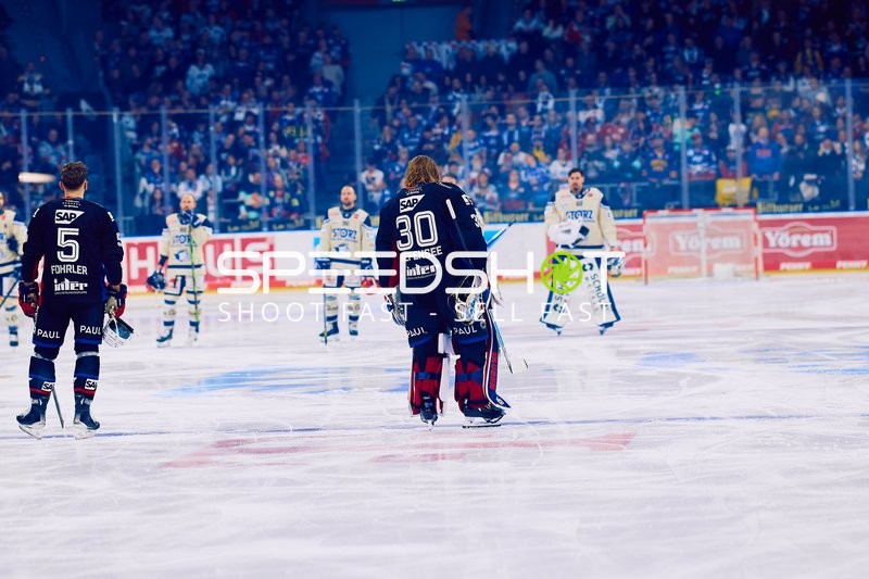 Adler Mannheim vs Schwenninger Wild Wings | 19.01.2024