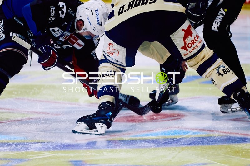 Adler Mannheim vs Schwenninger Wild Wings | 19.01.2024