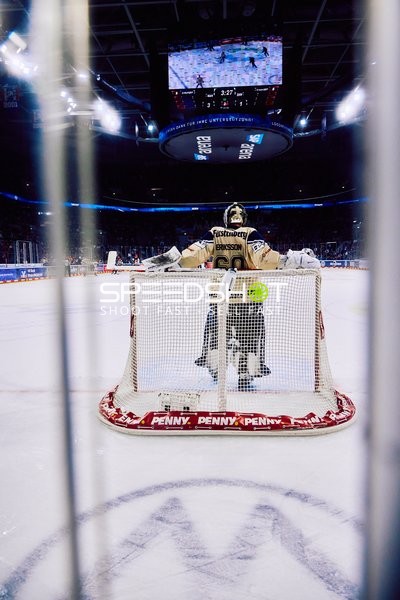 Adler Mannheim vs Schwenninger Wild Wings | 19.01.2024