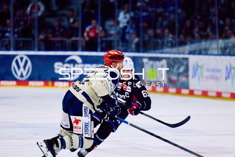 Adler Mannheim vs Schwenninger Wild Wings | 19.01.2024