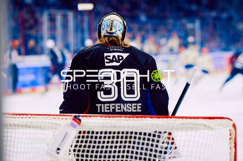 Adler Mannheim vs Schwenninger Wild Wings | 19.01.2024