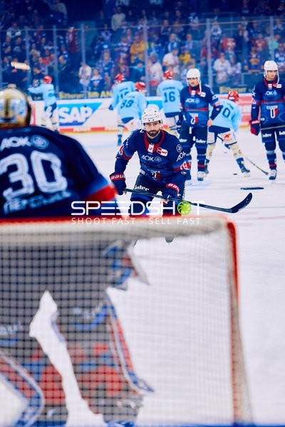Adler Mannheim vs Schwenninger Wild Wings | 19.01.2024