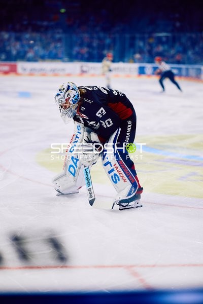 Adler Mannheim vs Schwenninger Wild Wings | 19.01.2024