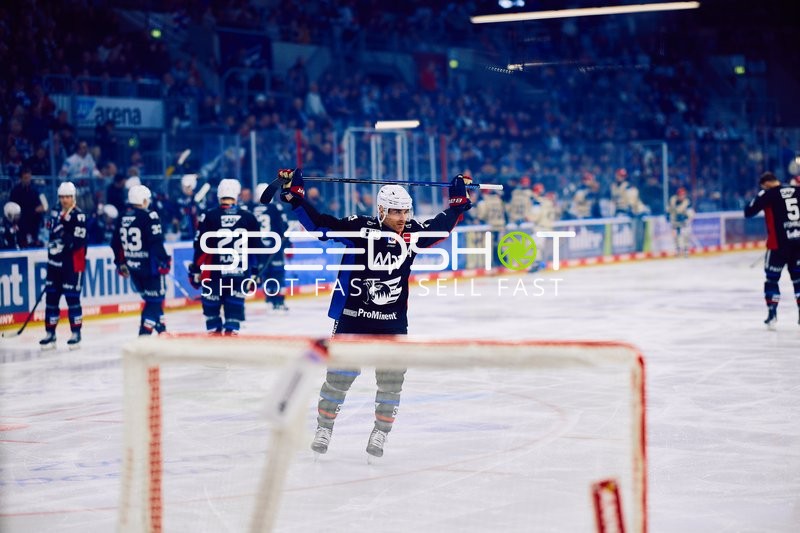 Adler Mannheim vs Schwenninger Wild Wings | 19.01.2024