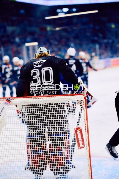 Adler Mannheim vs Schwenninger Wild Wings | 19.01.2024