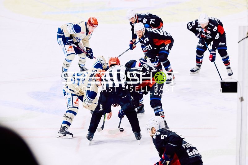 Adler Mannheim vs Schwenninger Wild Wings | 19.01.2024