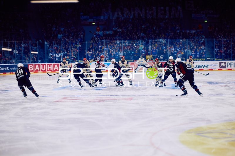 Adler Mannheim vs Schwenninger Wild Wings | 19.01.2024