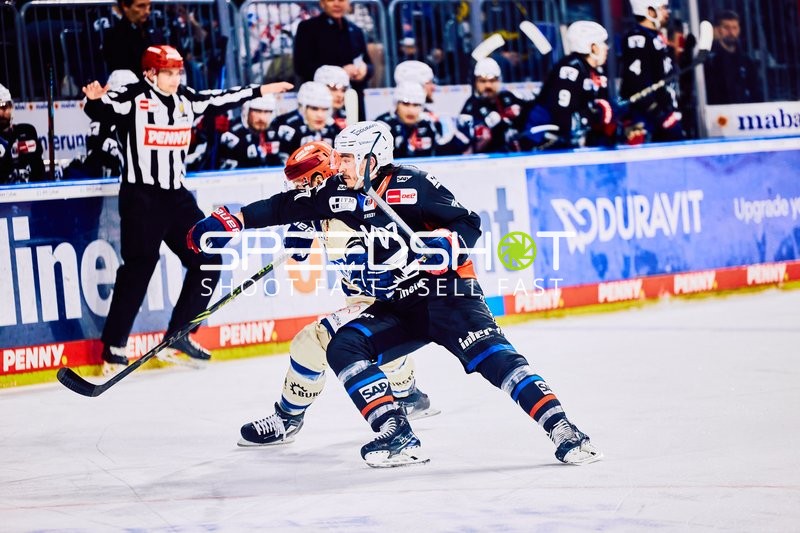 Adler Mannheim vs Schwenninger Wild Wings | 19.01.2024