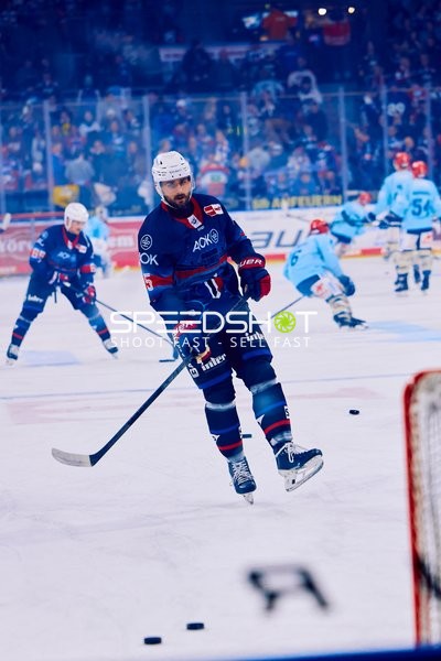 Adler Mannheim vs Schwenninger Wild Wings | 19.01.2024