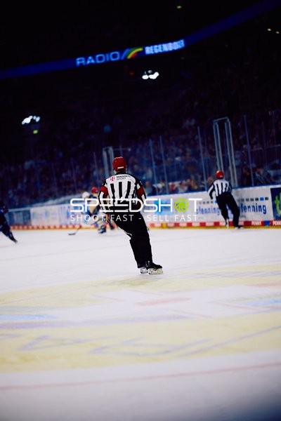Adler Mannheim vs Schwenninger Wild Wings | 19.01.2024