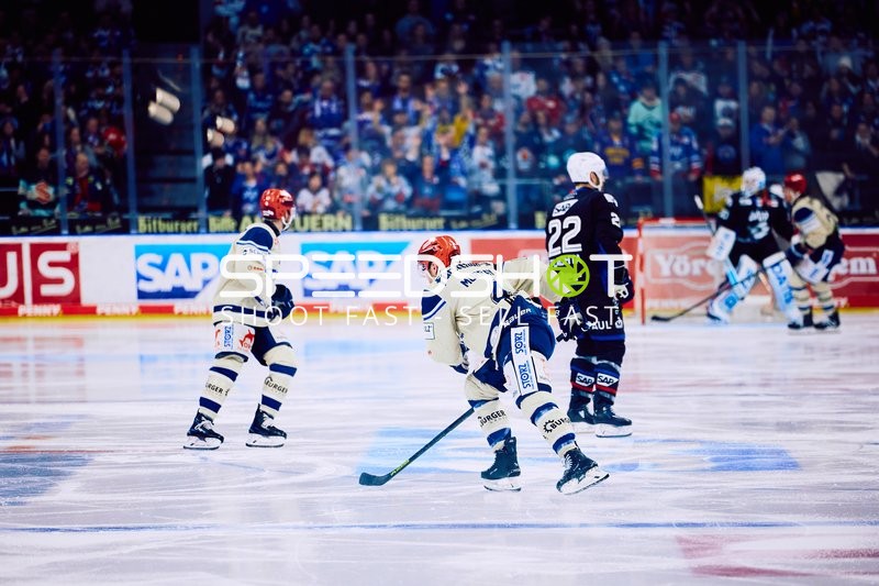 Adler Mannheim vs Schwenninger Wild Wings | 19.01.2024