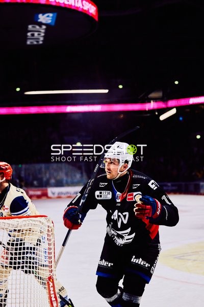 Adler Mannheim vs Schwenninger Wild Wings | 19.01.2024