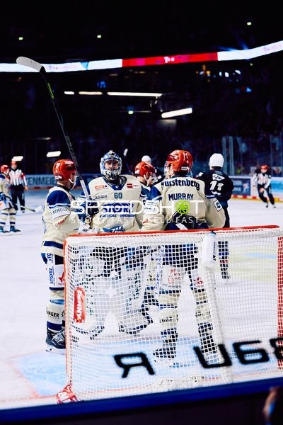 Adler Mannheim vs Schwenninger Wild Wings | 19.01.2024