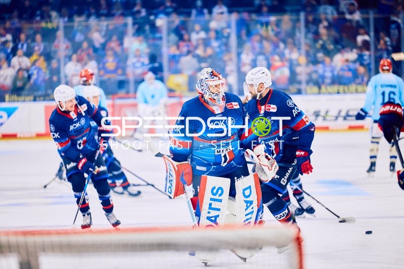 Adler Mannheim vs Schwenninger Wild Wings | 19.01.2024