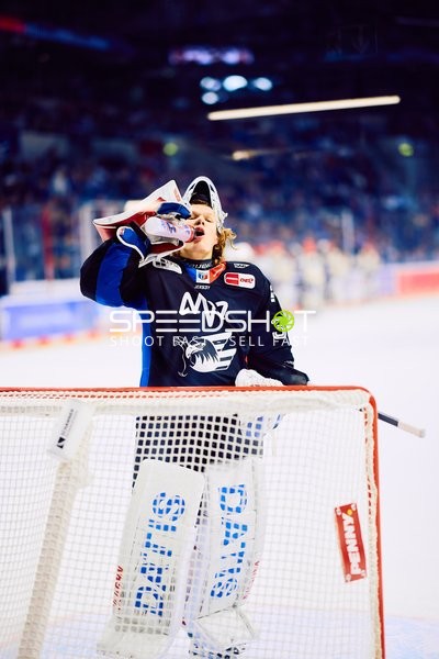 Adler Mannheim vs Schwenninger Wild Wings | 19.01.2024