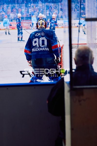 Adler Mannheim vs Schwenninger Wild Wings | 19.01.2024